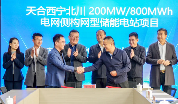 1.webp.png 1.webp.png