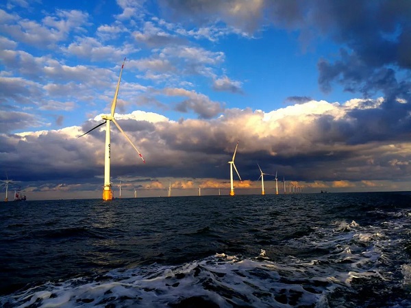 金风科技于晨光：海上风电应理性推进大型化进程